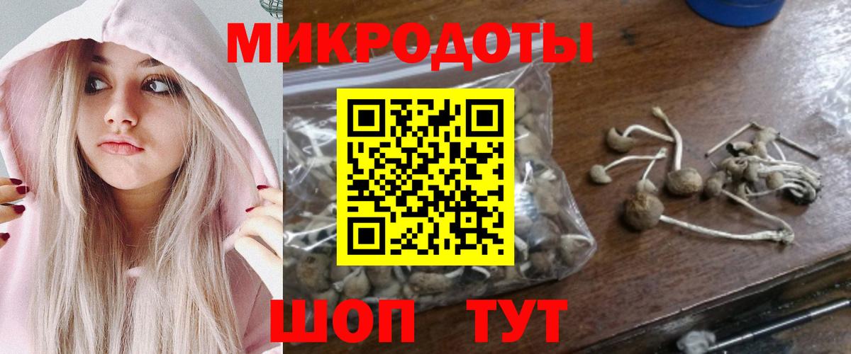 Касимов  Галлюциногенные грибы ЛСД  купить наркоту  Псилоцибиновые грибы GOLDEN TEACHER  Вход с VPN 